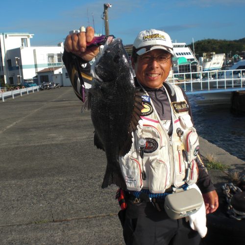 師崎港で落とし込み＆前打ち | (株)宇崎日新（NISSIN）| 磯・船・渓流などの釣り竿の製造販売 アレス（ARES）|  エギング・アジング・ジギング ルアーロッドの製造・販売